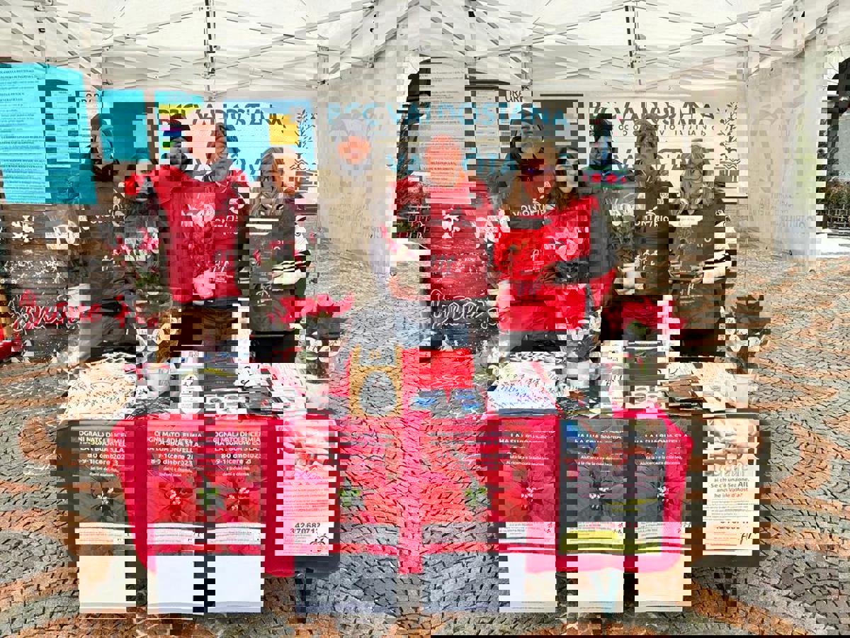 Vendita Stelle di Natale con l'AIL (Aosta, 7 - 8 - 9 dicembre 2023)