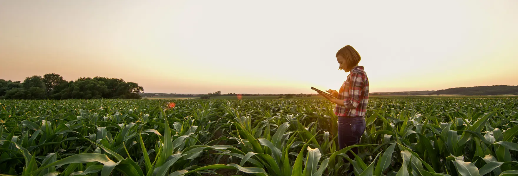 Consulenza su Misura