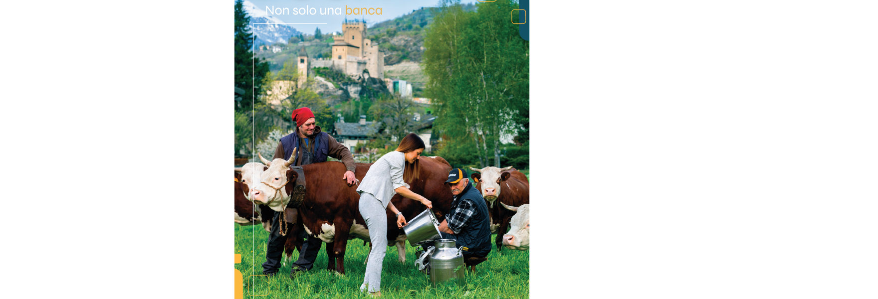 CAMPAGNA BCCV 2025 Allevatore