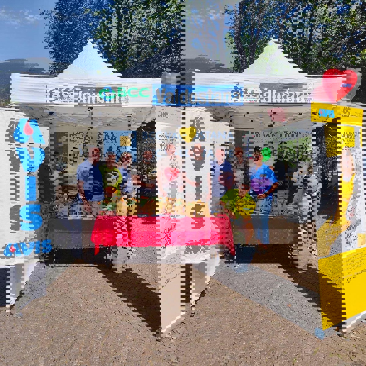 Vendita piante (tagete rosso, tagete giallo e basilico) - AIL (Aosta, 17 - 18 giugno 2023)