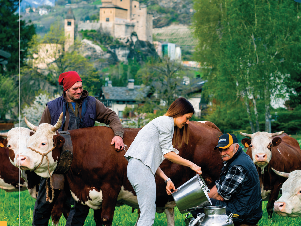 Scopri l'offerta bancaria pensata per la tua impresa 